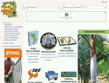 Tablet Screenshot of palmpedia.net